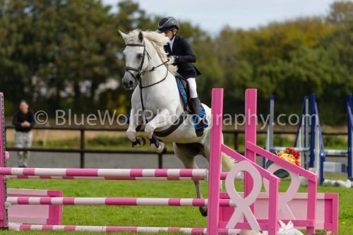 HOYS26-652