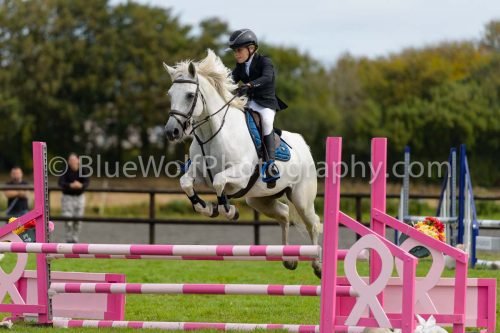 HOYS26-653
