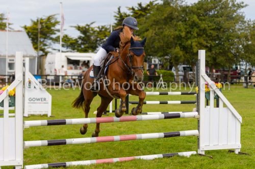 HOYS26-655