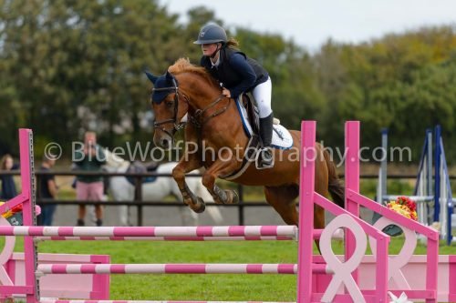 HOYS26-656