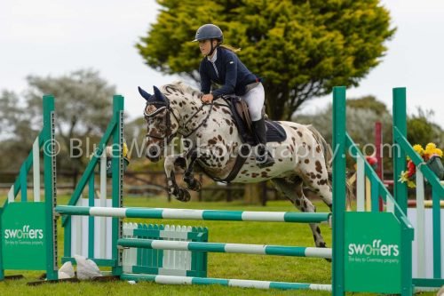 HOYS26-657