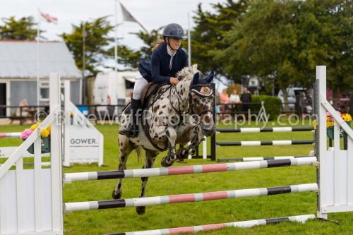 HOYS26-658