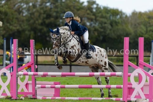 HOYS26-659