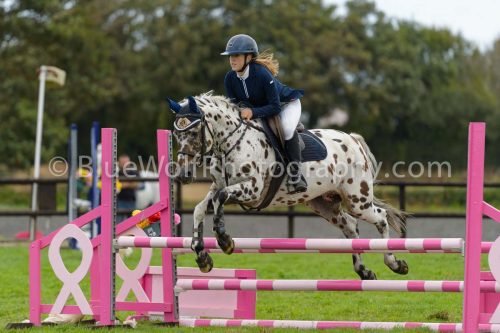 HOYS26-660