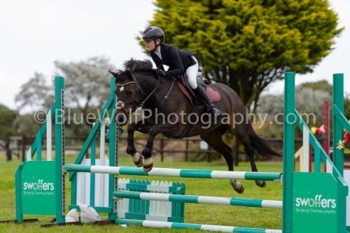 HOYS26-662