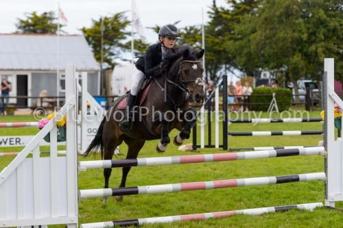 HOYS26-663