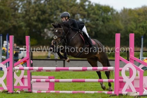 HOYS26-664