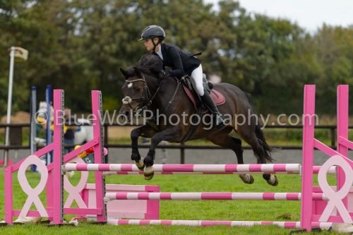 HOYS26-665