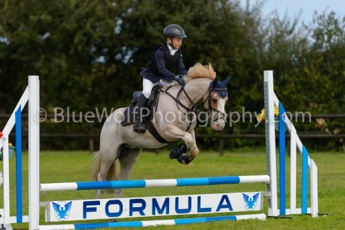 HOYS26-667
