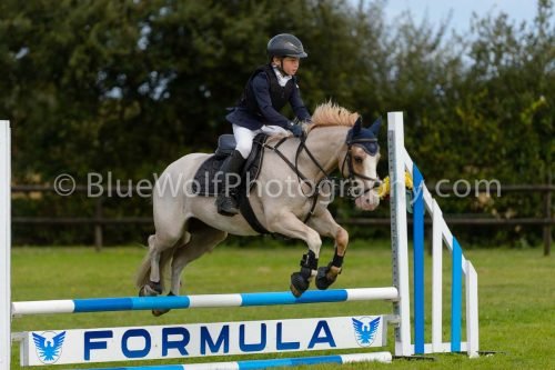 HOYS26-668