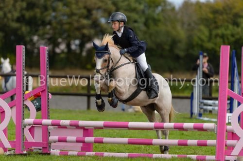 HOYS26-669