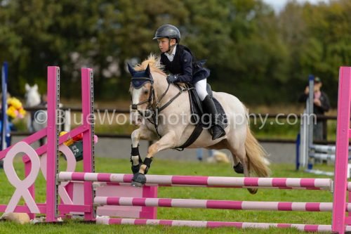 HOYS26-670