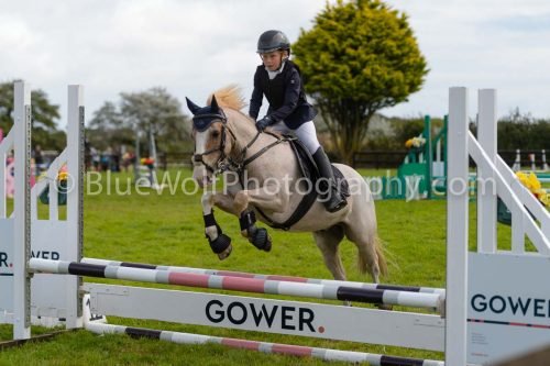 HOYS26-671