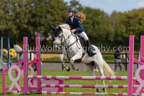 HOYS26-673
