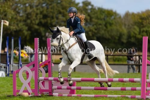 HOYS26-674