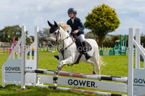 HOYS26-675