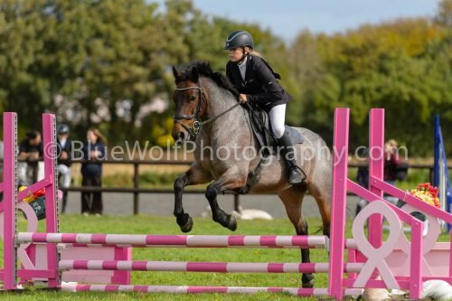 HOYS26-677