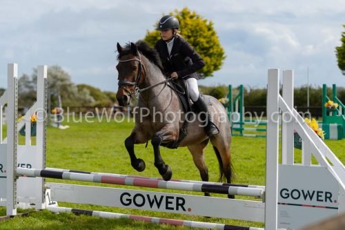 HOYS26-678