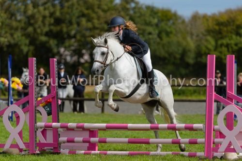 HOYS26-679