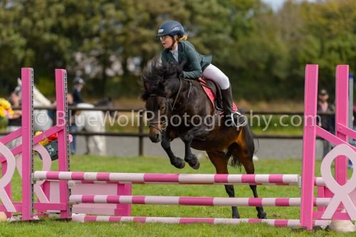HOYS26-682