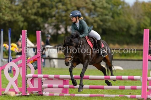 HOYS26-683