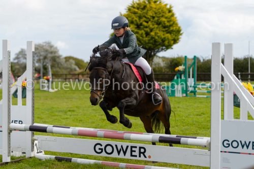 HOYS26-684