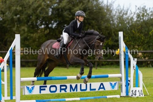 HOYS26-686