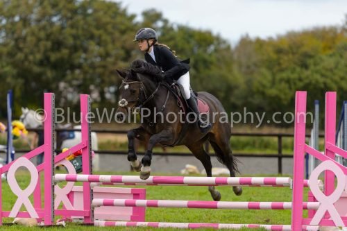 HOYS26-687