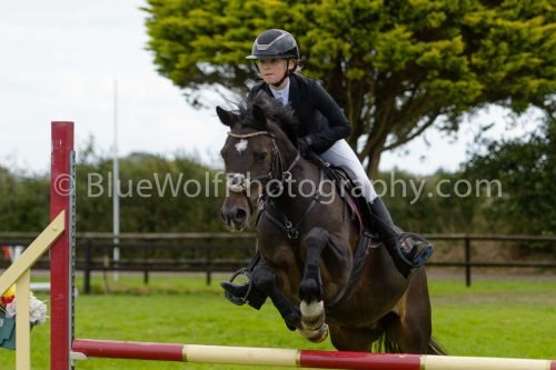 HOYS26-688