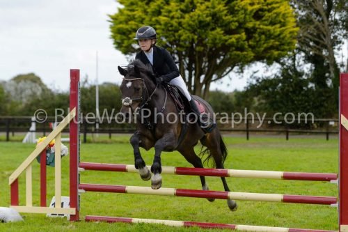 HOYS26-689