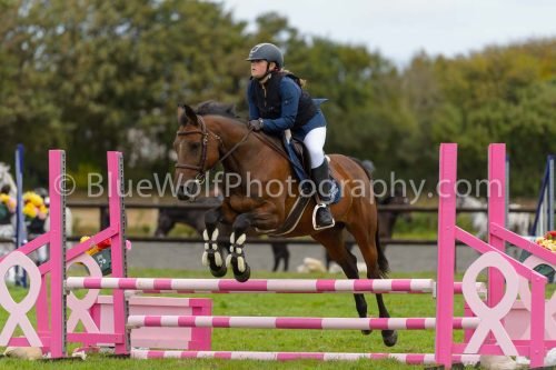 HOYS26-690