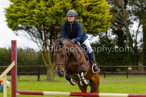HOYS26-691