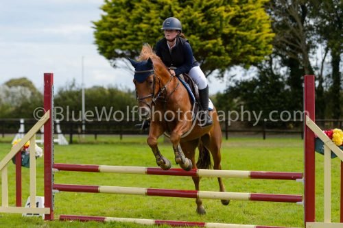 HOYS26-695