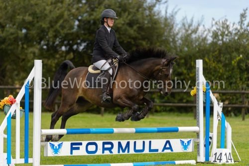 HOYS26-696