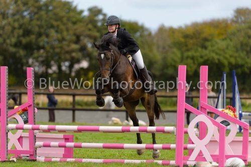 HOYS26-697