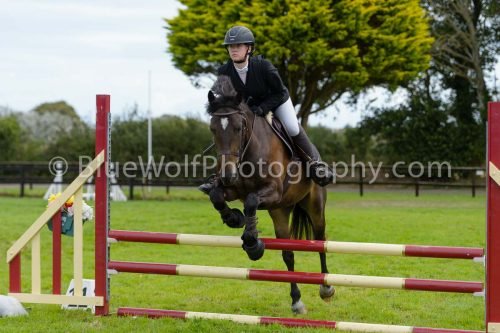 HOYS26-698
