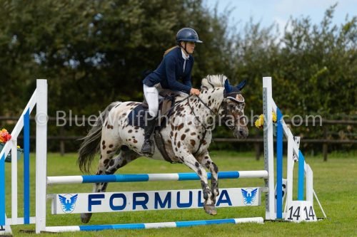 HOYS26-699