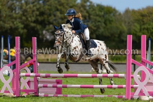 HOYS26-700