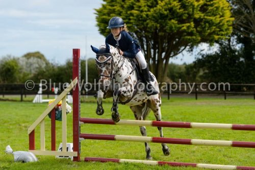 HOYS26-701