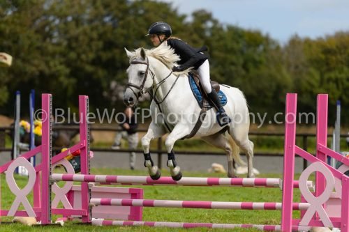 HOYS26-702