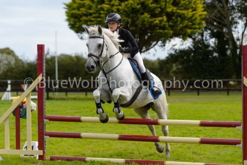 HOYS26-703