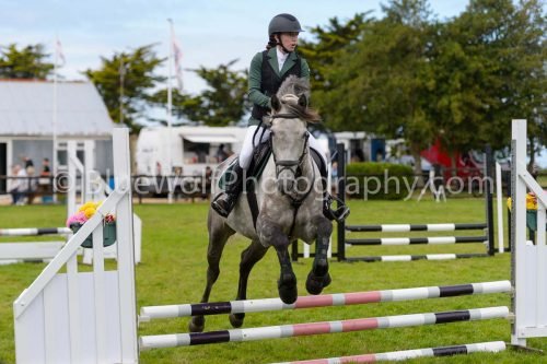 HOYS26-711