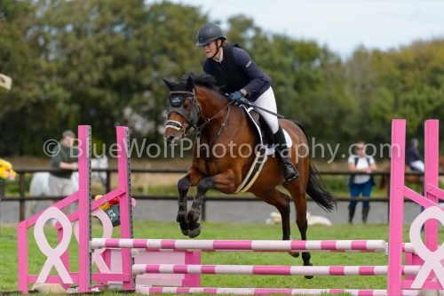 HOYS26-713