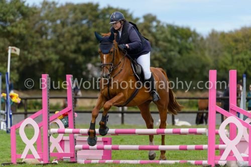 HOYS26-717
