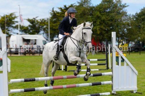 HOYS26-719