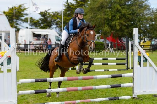 HOYS26-722