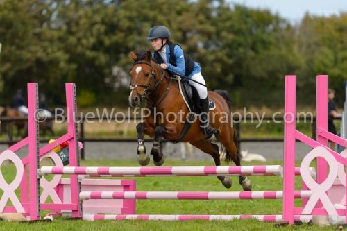 HOYS26-723