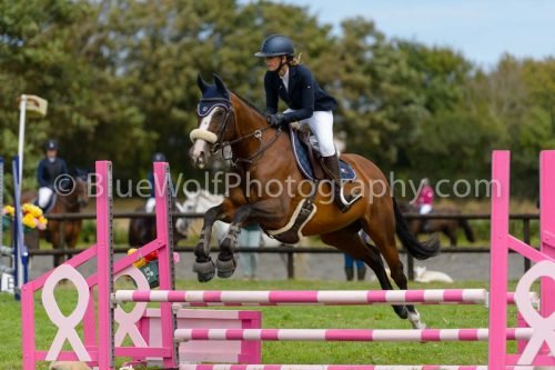 HOYS26-725