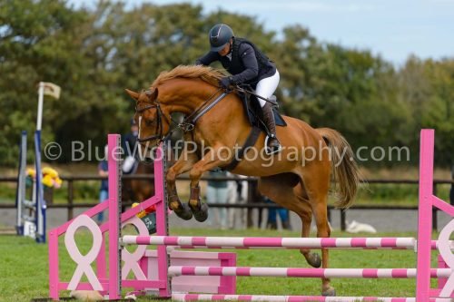 HOYS26-726