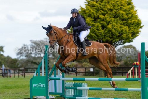 HOYS26-728